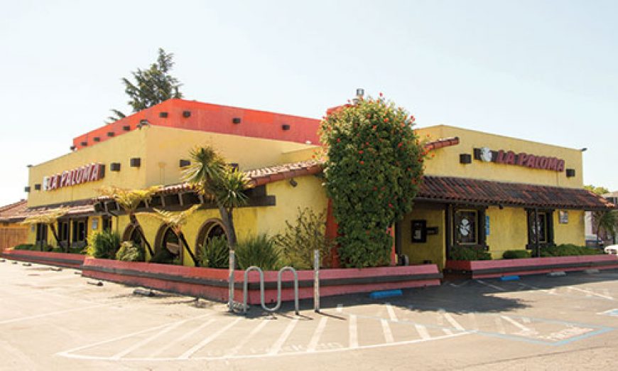 Small Business Spotlight: La Paloma Restaurant