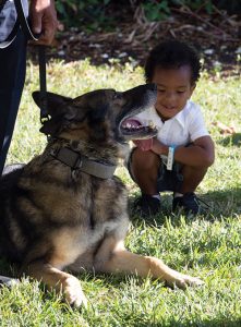 Sean’s K-9s Continues Mission