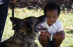Sean’s K-9s Continues Mission