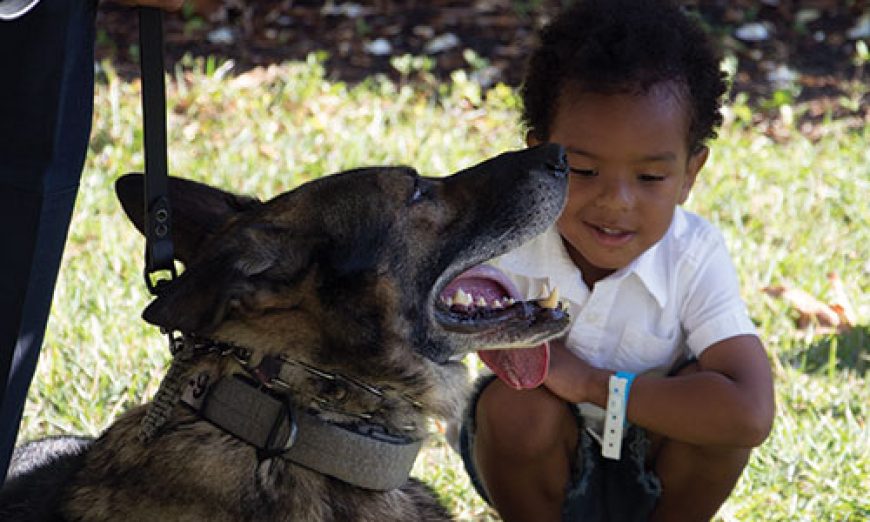 Sean’s K-9s Continues Mission