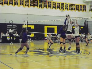 Wilcox Wins Wild Match over Rival Bruins