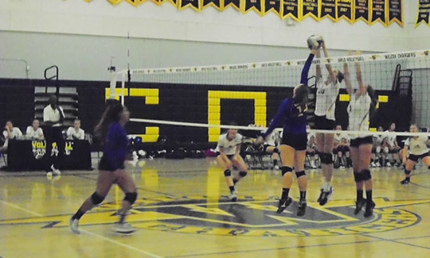 Wilcox Wins Wild Match over Rival Bruins