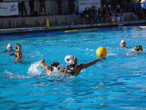 Cruising in the Pool: Wilcox Water Polo Wins Big
