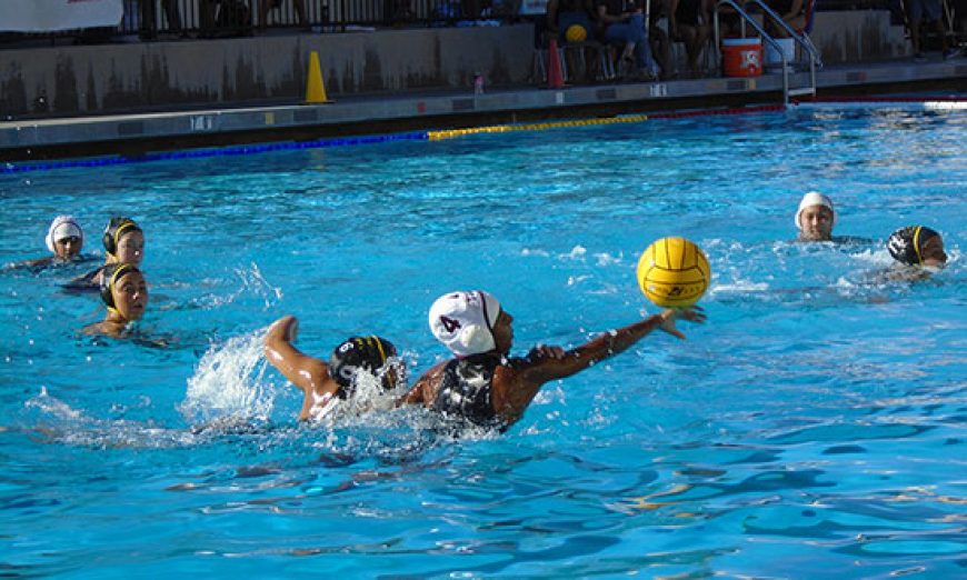 Cruising in the Pool: Wilcox Water Polo Wins Big