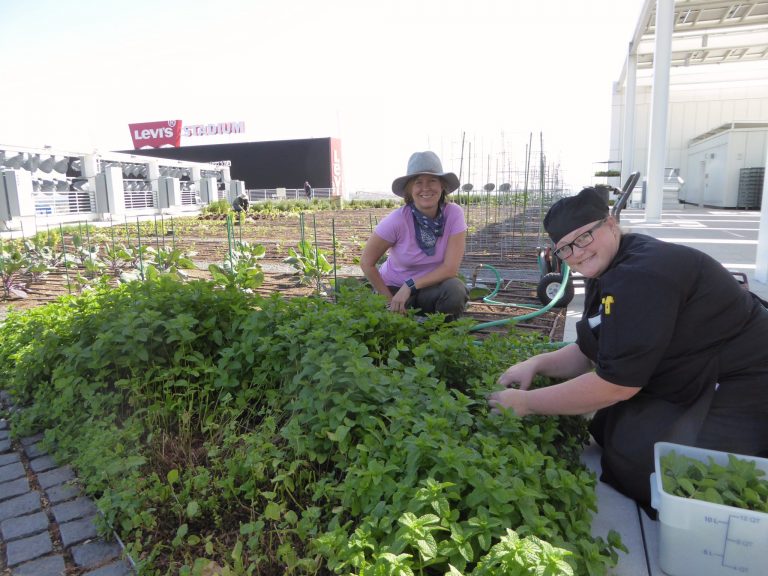 Levi’s Stadium LEEDs the Way