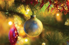 Mission City Voices: My Christmas Tree of Life