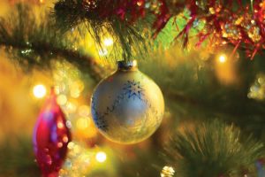 Mission City Voices: My Christmas Tree of Life