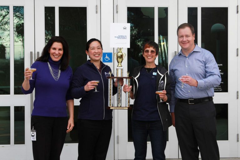 HSSV is Setting the Standard, Named Nation’s First Model Shelter