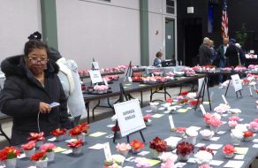 Annual Camellia Show Always a Stunning Crowd Pleaser