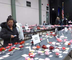 Annual Camellia Show Always a Stunning Crowd Pleaser
