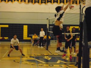 Are the Wilcox Chargers the Ultimate Volleyball Team?