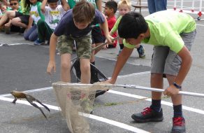 Something to Croak About: 163 Bullfrogs Vie for 1st Place in Sutter Elementary School’s 53rd Frog Jump
