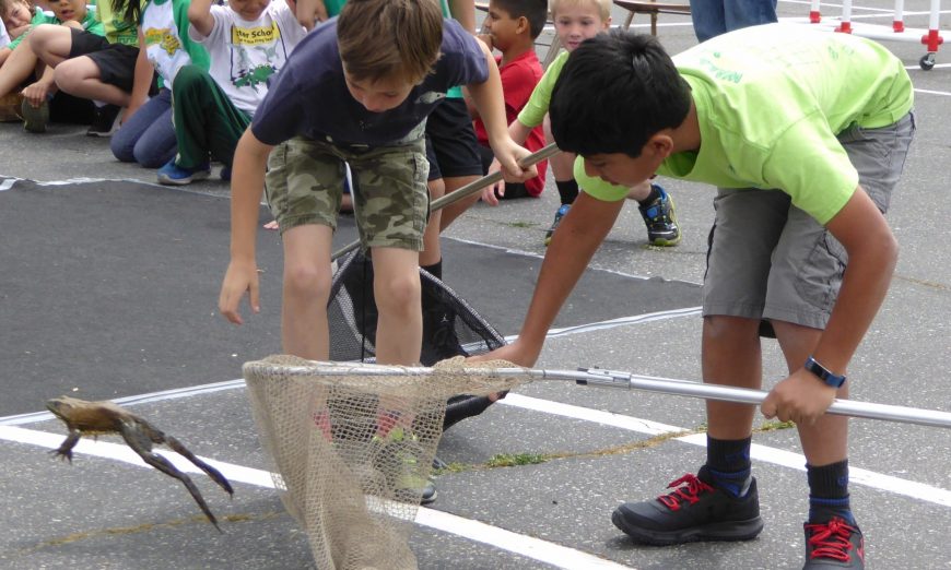Annual Frog Jump