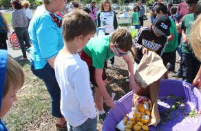 Fifth-graders’ Farmer’s Market