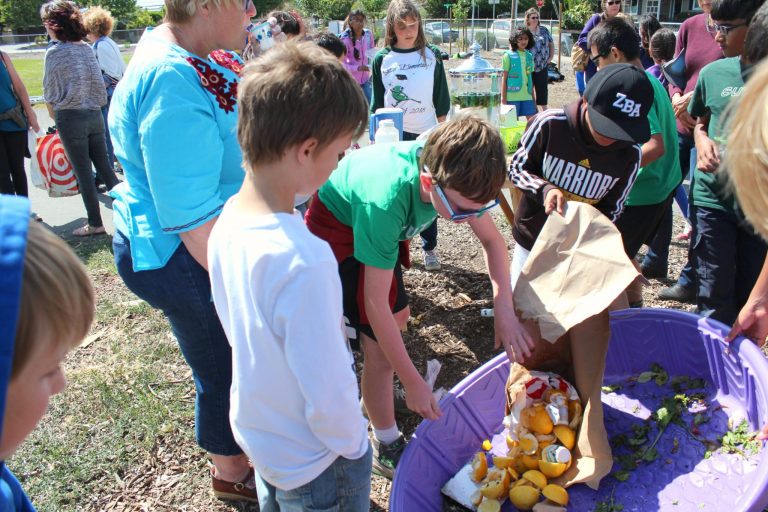 Fifth-graders’ Farmer’s Market