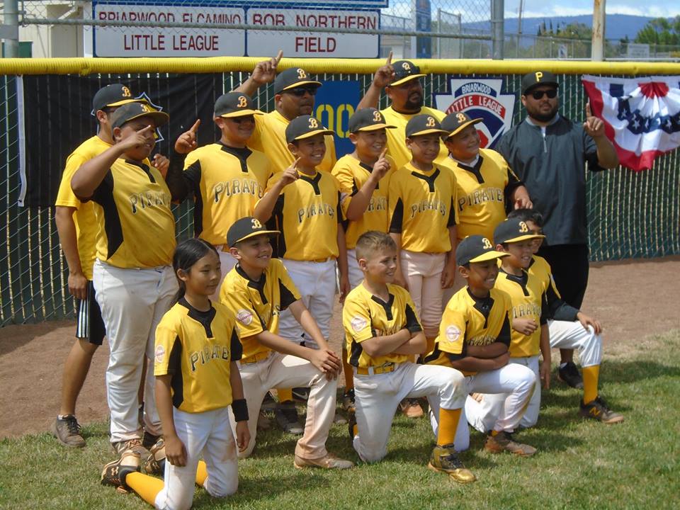 Briarwood Little League