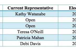 Santa Clara District Elections Sequencing for California Voting Rights Act Remedy: Districts 2 & 3 in 2018