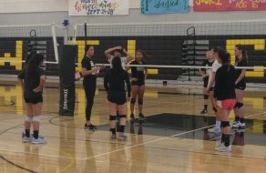Wilcox to Lean on High Volleyball IQ