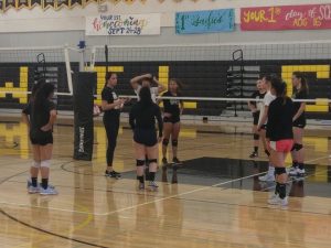 Wilcox to Lean on High Volleyball IQ