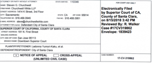 City Appeals Voting Rights Lawsuit Decision — Keeping Legal Meters Ticking Upward