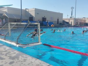Fremont Water Polo Faces Tough Challenge as Champions