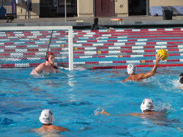 Chargers Swim Swiftly Past Firebirds