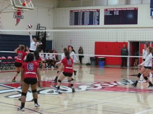 Firebirds Fly Past Falcons in Fiercely Contested Match