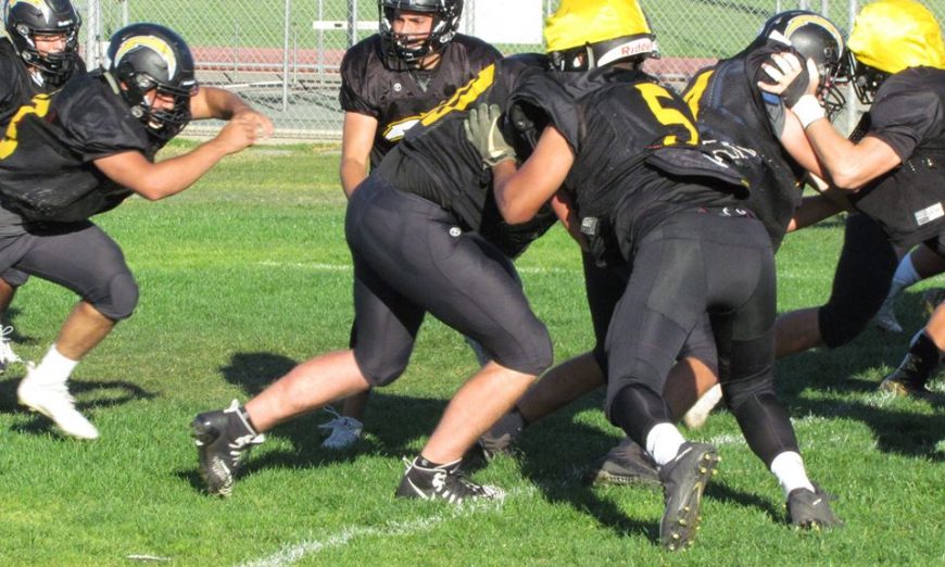 Wilcox Chargers Football