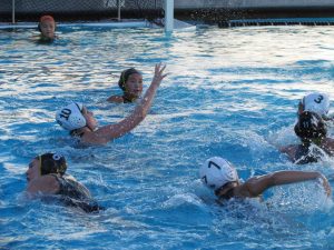 Wilcox Weaving Through Tough Waters With Second-Half Wins