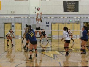 Chargers Strike Down Bruins in Volleyball Finale