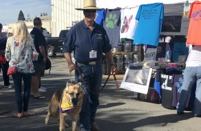 Pints for Pups Brings Together Dogs, Art and Beer