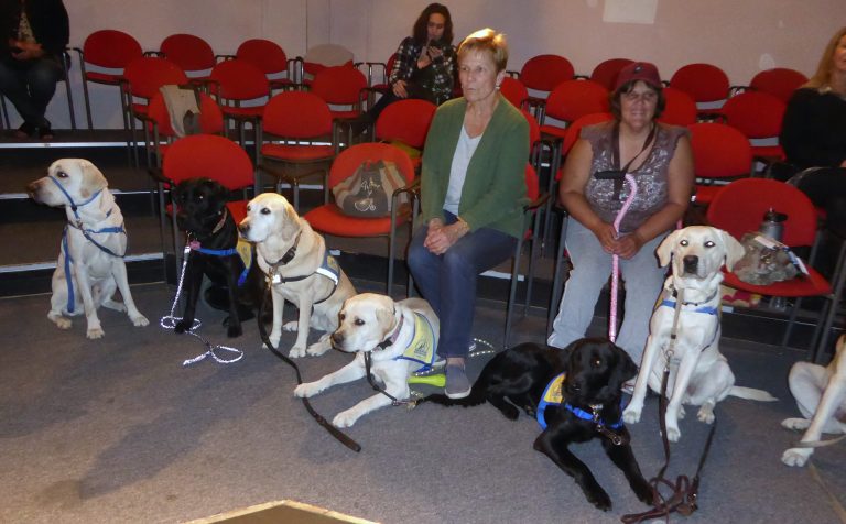 CCI Puppies Give Bark of Approval to Live Theater