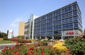 From Bankruptcy To Millions: Avaya’s One-Year Transformation