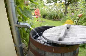 City’s New Rain Barrel Rebate Program Arrives in Time for Rainy Season