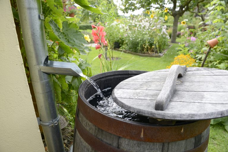 City’s New Rain Barrel Rebate Program Arrives in Time for Rainy Season