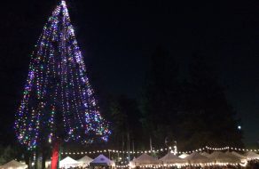 Santa Clarans Kick Off Holiday Season with Annual Tree Lighting