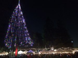 Santa Clarans Kick Off Holiday Season with Annual Tree Lighting