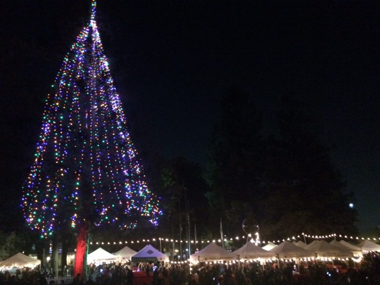 Santa Clarans Kick Off Holiday Season with Annual Tree Lighting