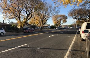 Elderly Woman Hit, Killed Crossing Kiely Boulevard