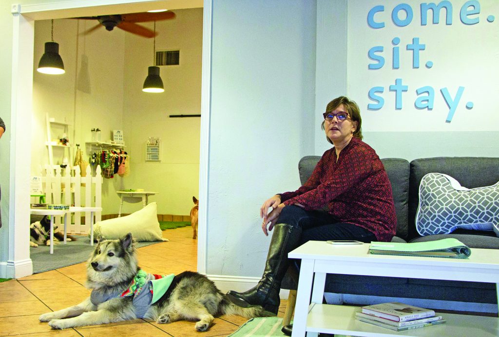 A Doggone Good Time at Pup Plaza San Jose, dog community center, Phuong-Mai “Mai” Blasich, Silicon Valley Pet Project