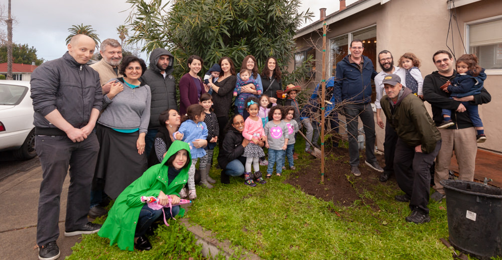 Tu B’shevat, Chabad Santa Clara, Rabbi Yigal Rosenberg