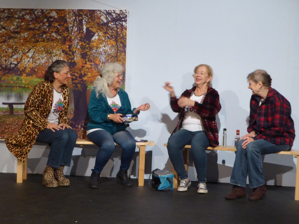 Santa Clara Players "The Lost Virginity Tour" Surprises and Raises Awareness of Taboo Topic, YWCA Silicon Valley Crisis Intervention