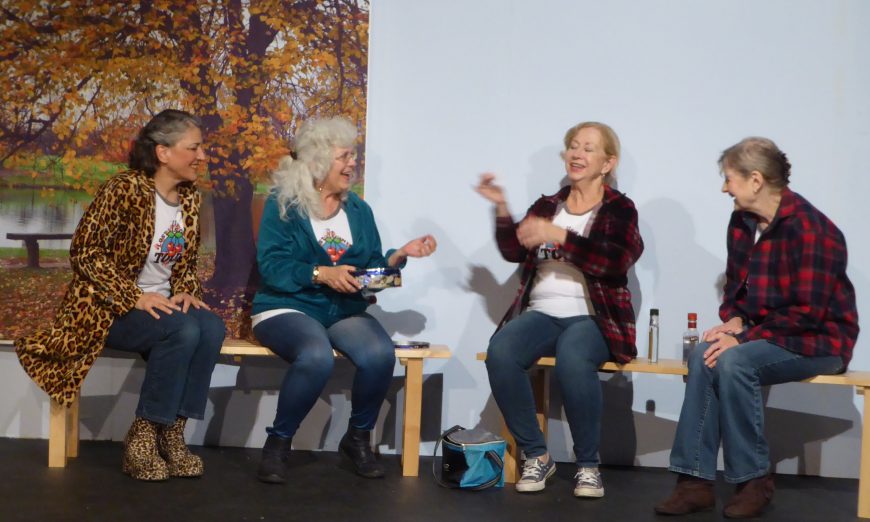 Santa Clara Players "The Lost Virginity Tour" Surprises and Raises Awareness of Taboo Topic, YWCA Silicon Valley Crisis Intervention