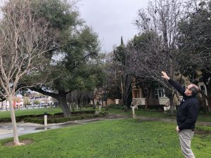 Storm Advice: Protecting Your Home From Downed Trees