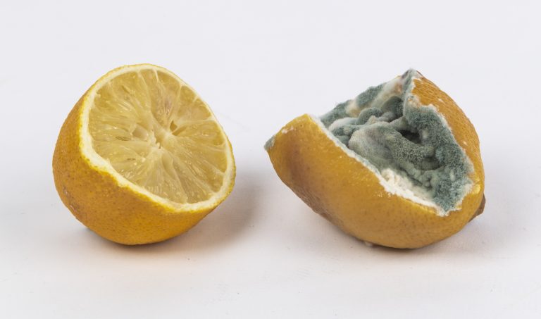 Milestones: Good guy, bad Council