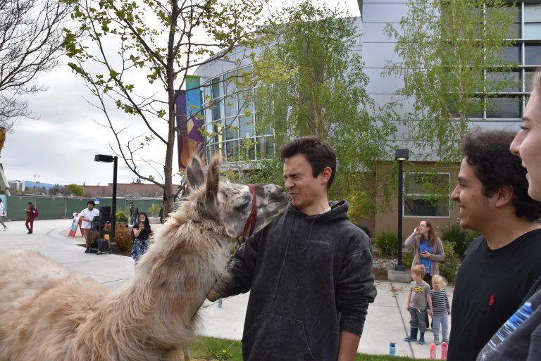 Photos of the Week: Llamas at Mission College, Wilcox High Concert, Santa Clara High Concert