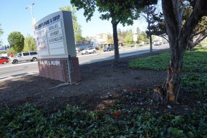 Driver Arrested After Driving into Crowd in Sunnyvale