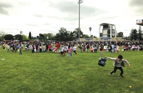 An Egg-straordinary Egg Hunt