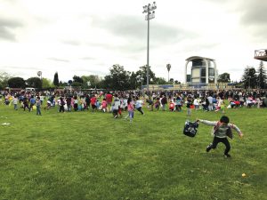 An Egg-straordinary Egg Hunt