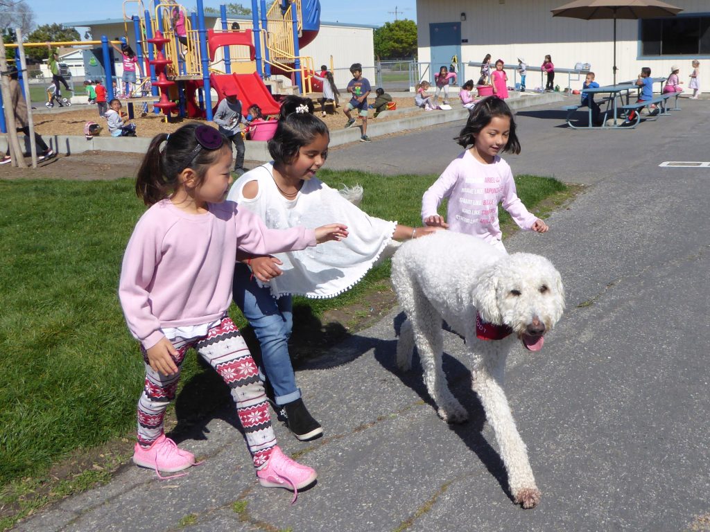 Buddy at Sutter Elementary